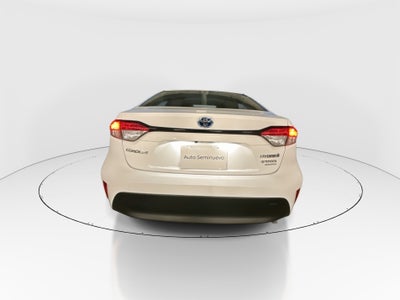 2023 Toyota Corolla 4p LE HEV L4/1.8 Aut